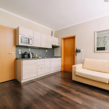 Spirit Superior Wellness - Free Wellness, Wifi, Parking Apartmán Harrachov