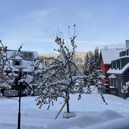 Lägenhet Spirit Superior Wellness - Free Wellness, Wifi, Parking Harrachov